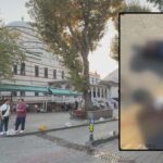 Parkta tartışma bıçaklı cinayete dönüştü! ‘Bankta bulduğum bıçağı savurdum’ dedi